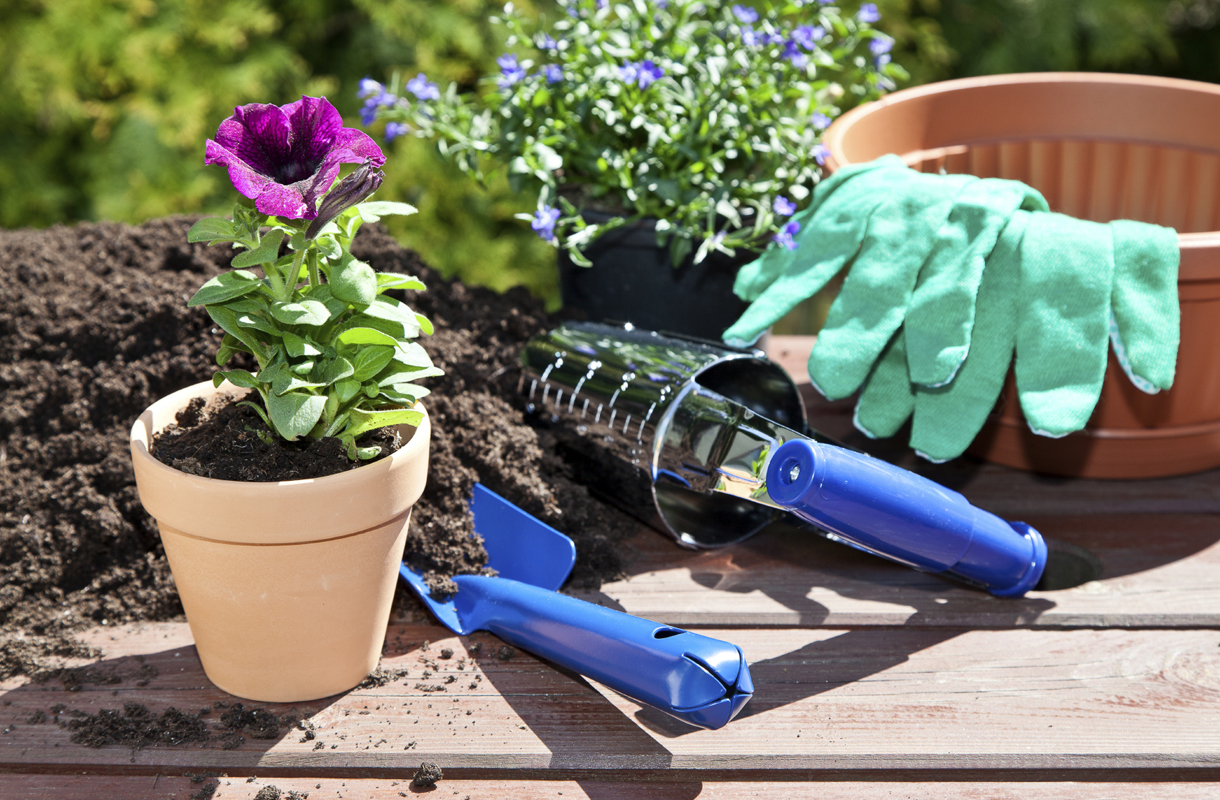 istock_000040014814_medium