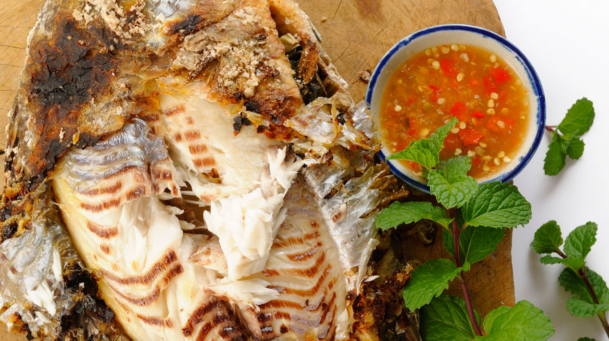 tilapia_0