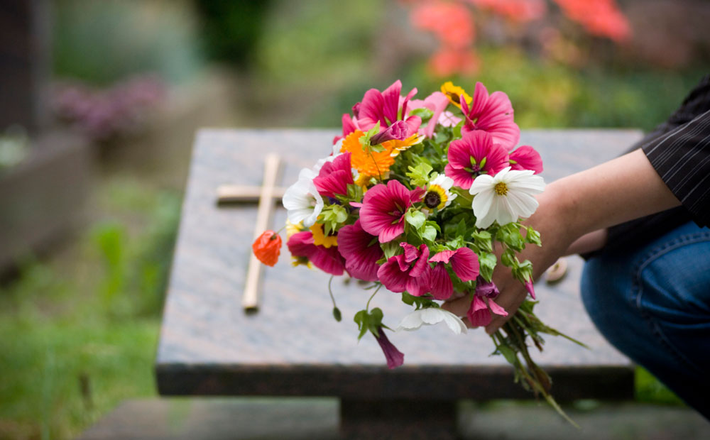 istock_000004123350_medium_0