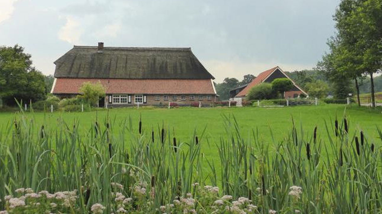 wandelhoofdbeeld_1