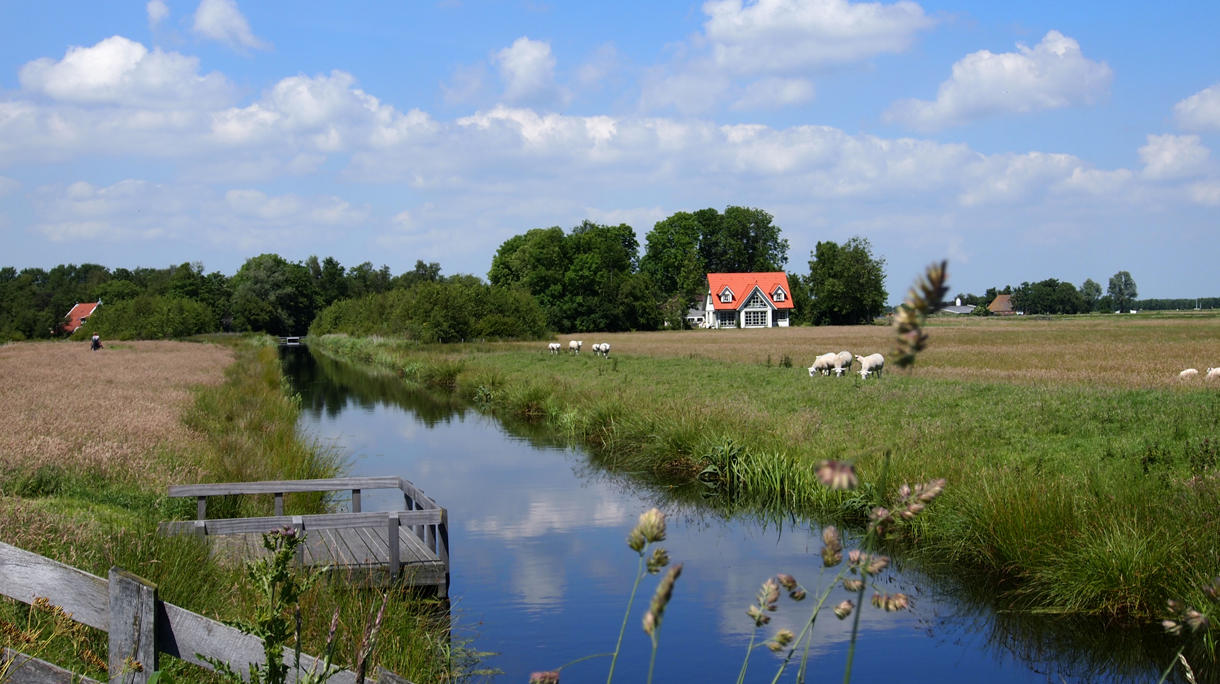 alde_feanen