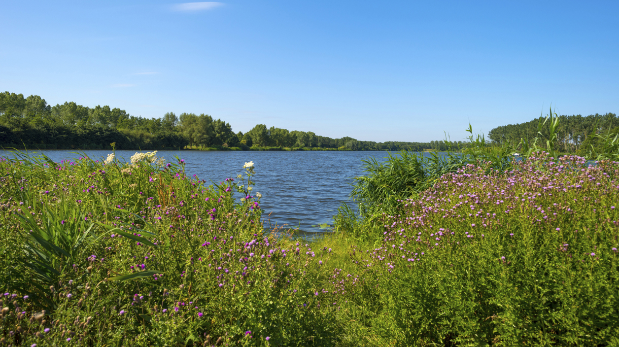 natuurlijk-flevoland-1220-x