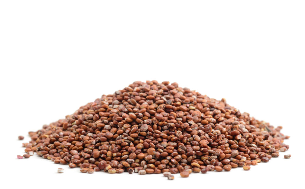 istock_000028320270_large