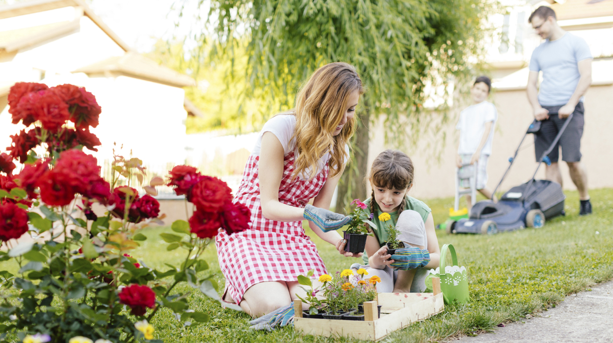 istock_000050575914_medium