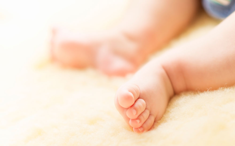 istock_000071238271_medium