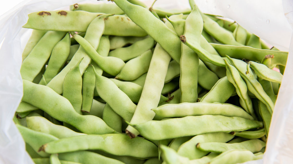 tuinbonne