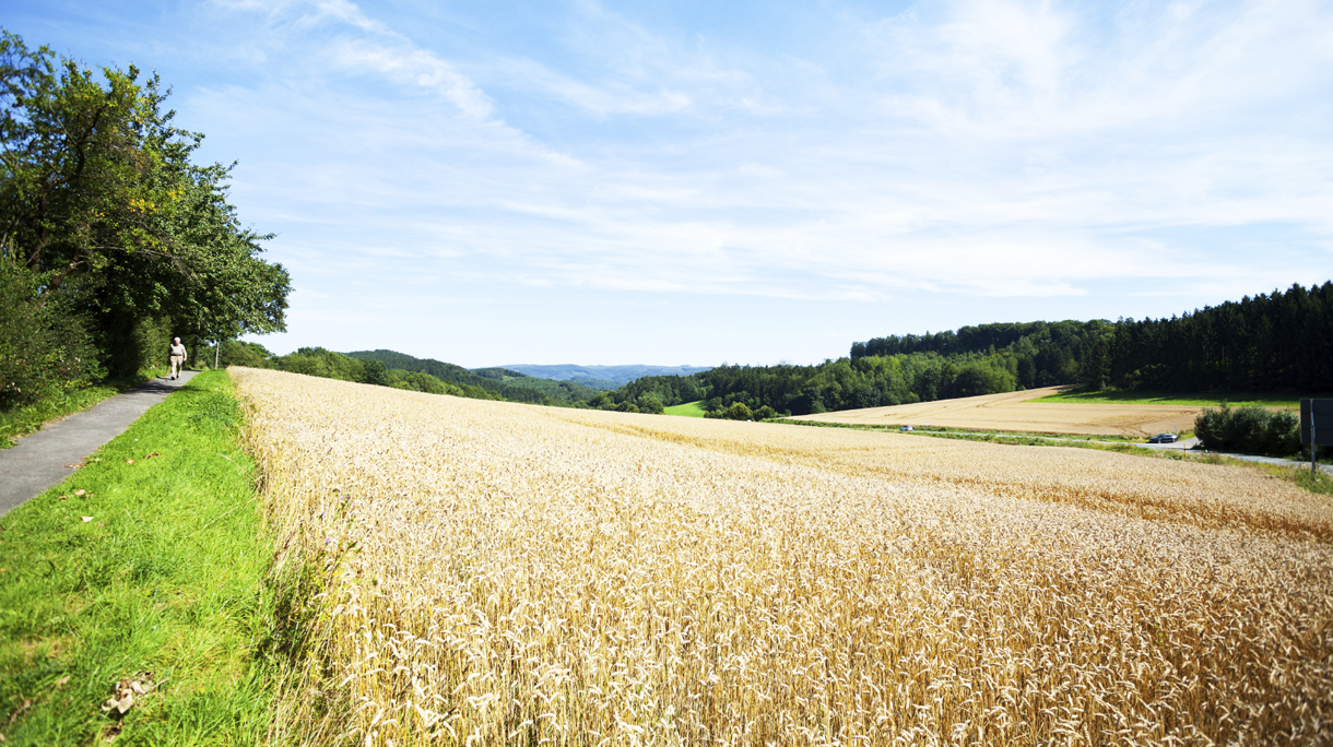 fietsroutes_duitsland_hoofdbeeld