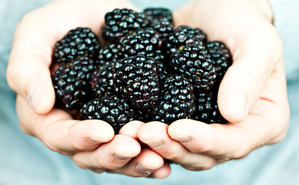istock_000012840650_medium