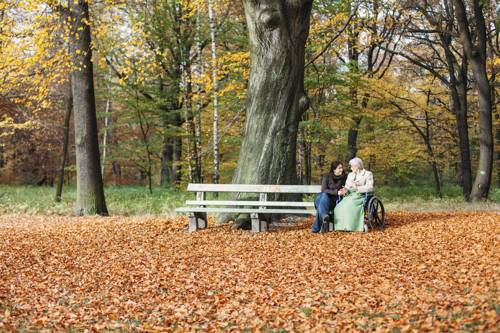 istock_000052106144_medium
