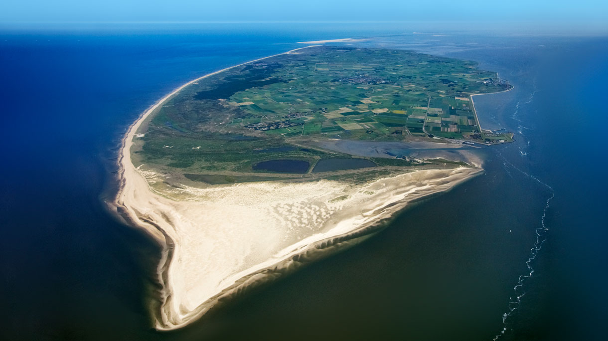 texelhoofdbeeld