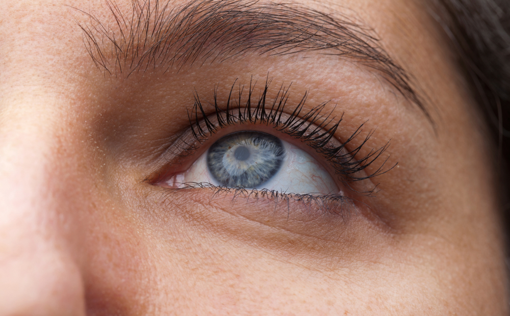 istock_000019068213_medium
