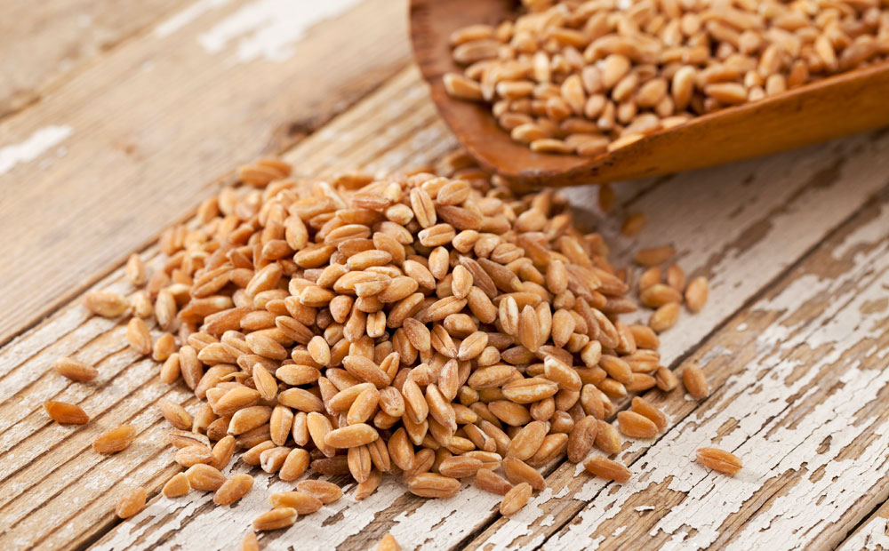 istock_000016162027_large