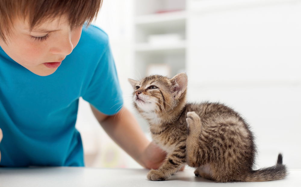 istock_000021716012_medium