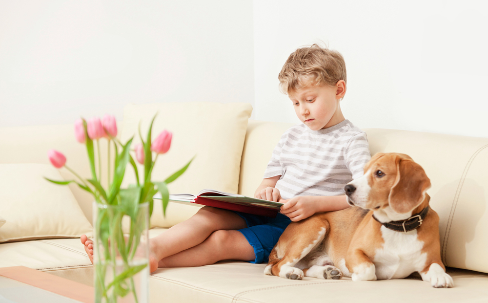 istock_000057982852_large