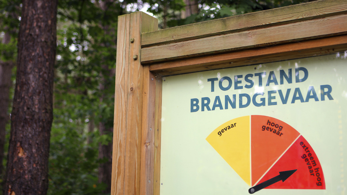 brand