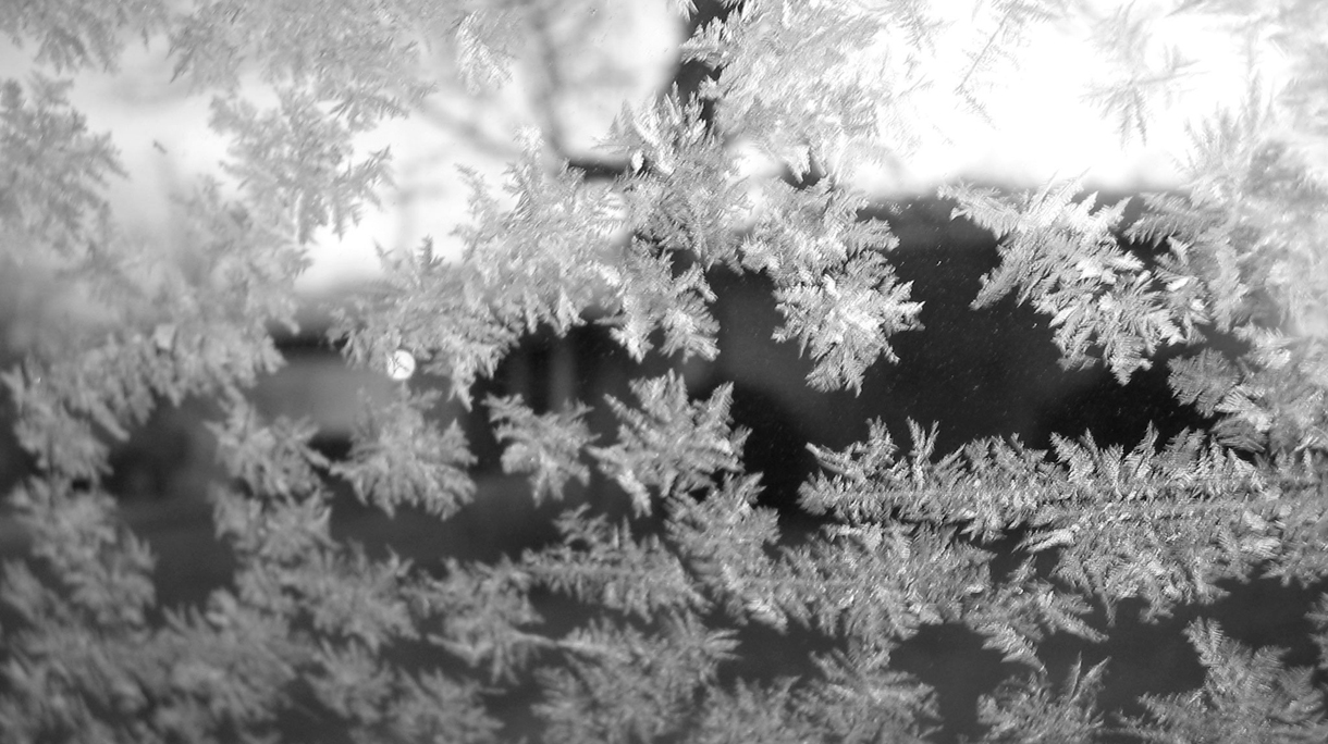 frosted_glass