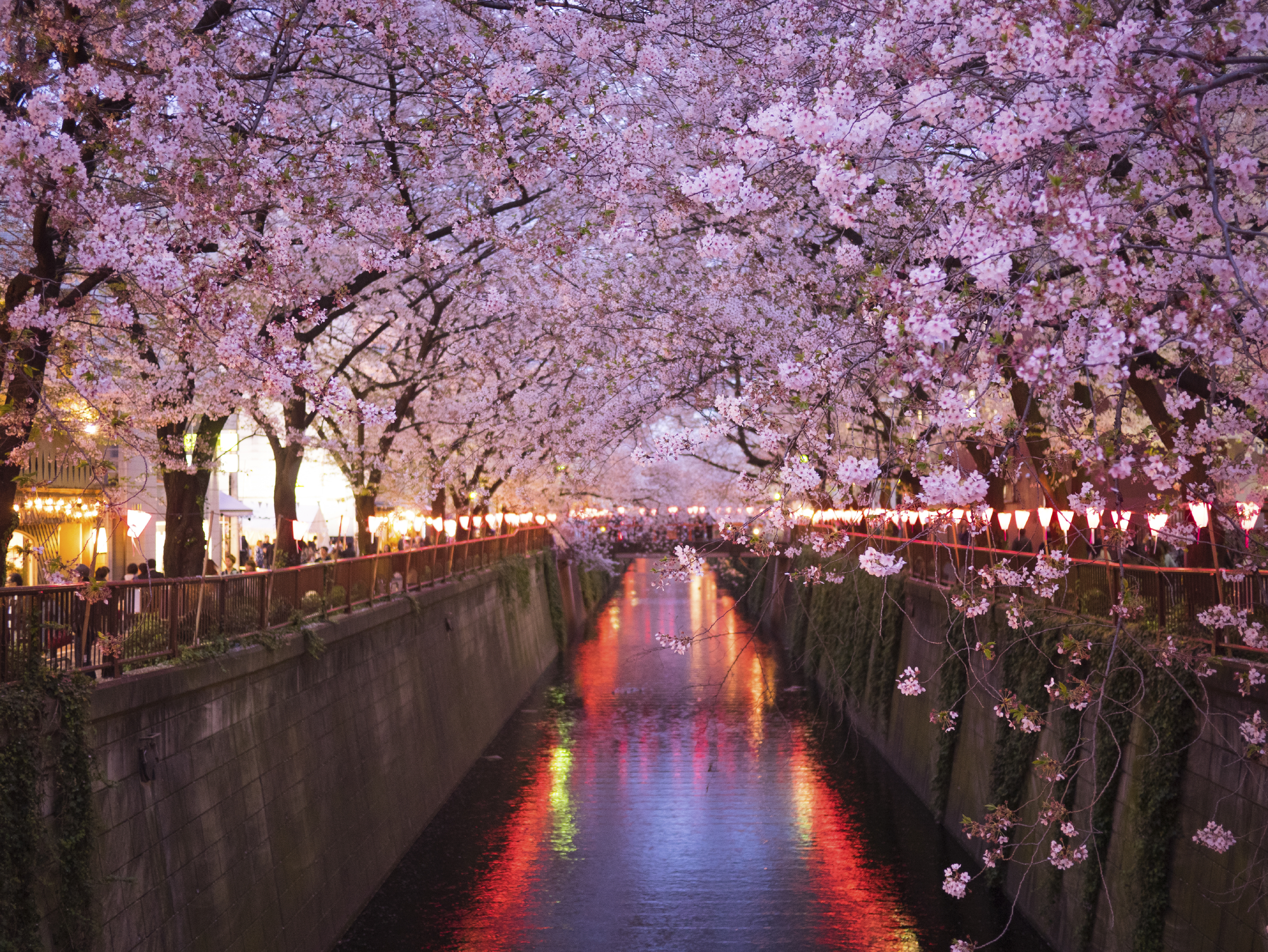 japan_0