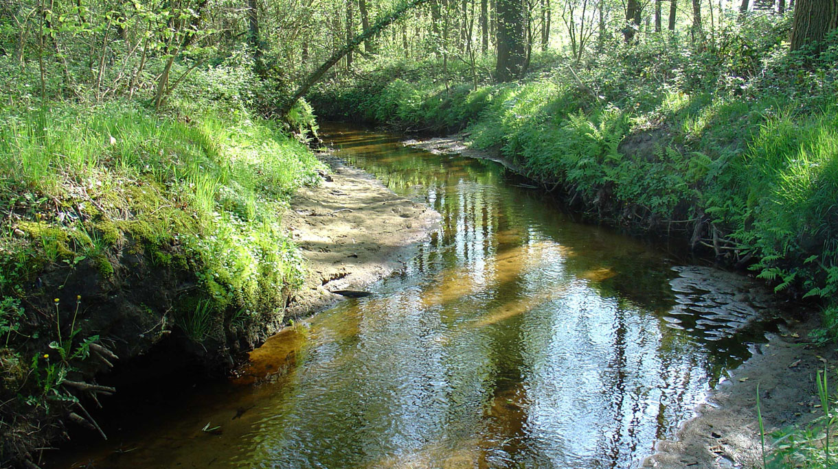 elsbeek