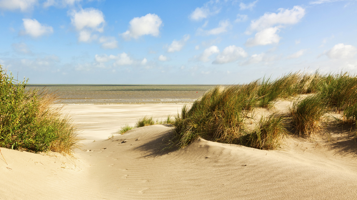 North Sea beach and dunes, Belgium
