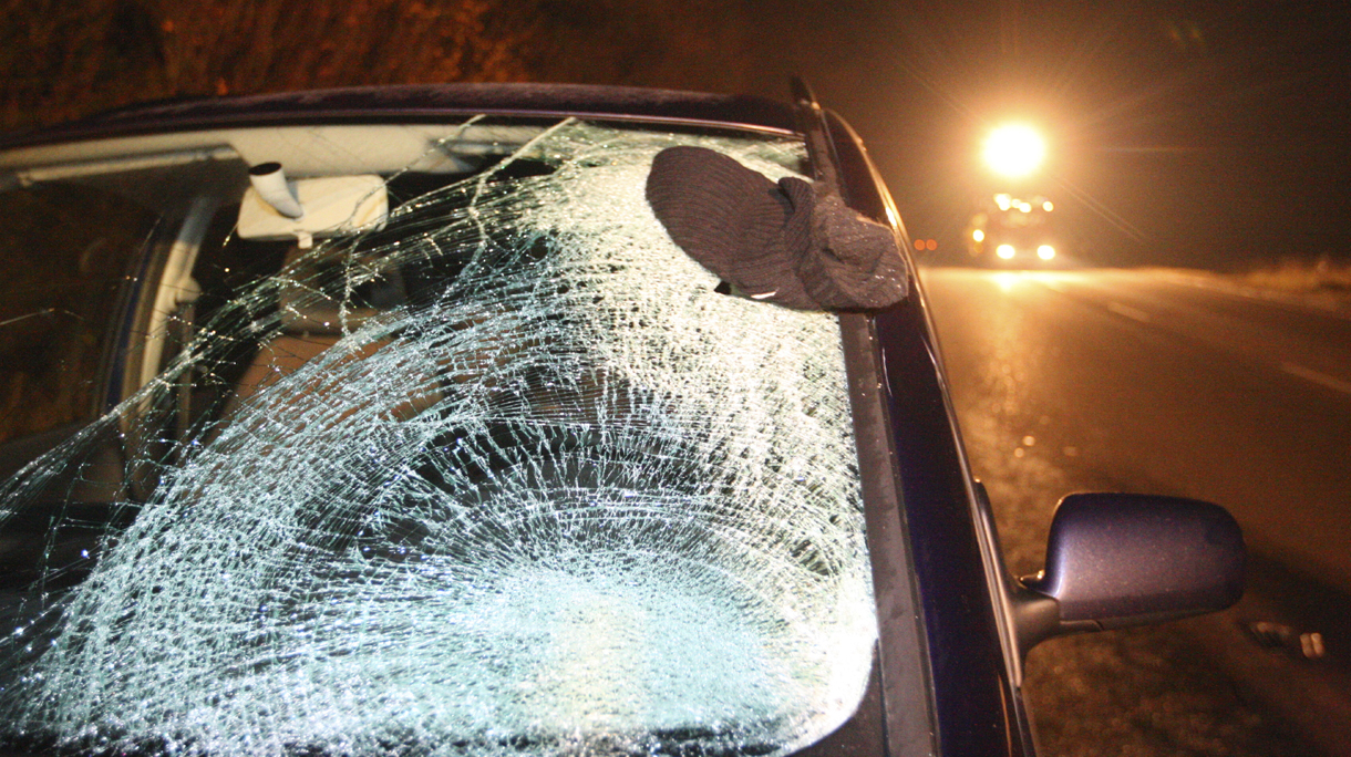 Broken windshield after car crash