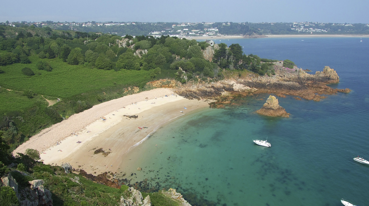 fietsen_jersey_1220x684.jpg