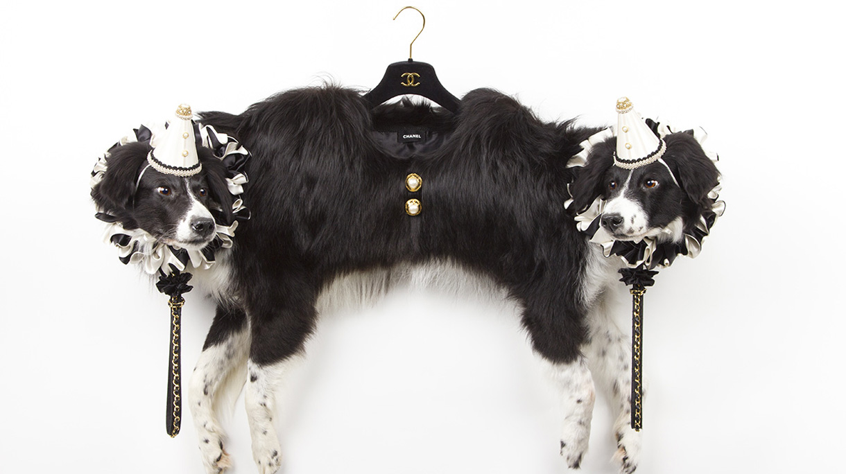 les_deux_garcons2_artikelbeeld