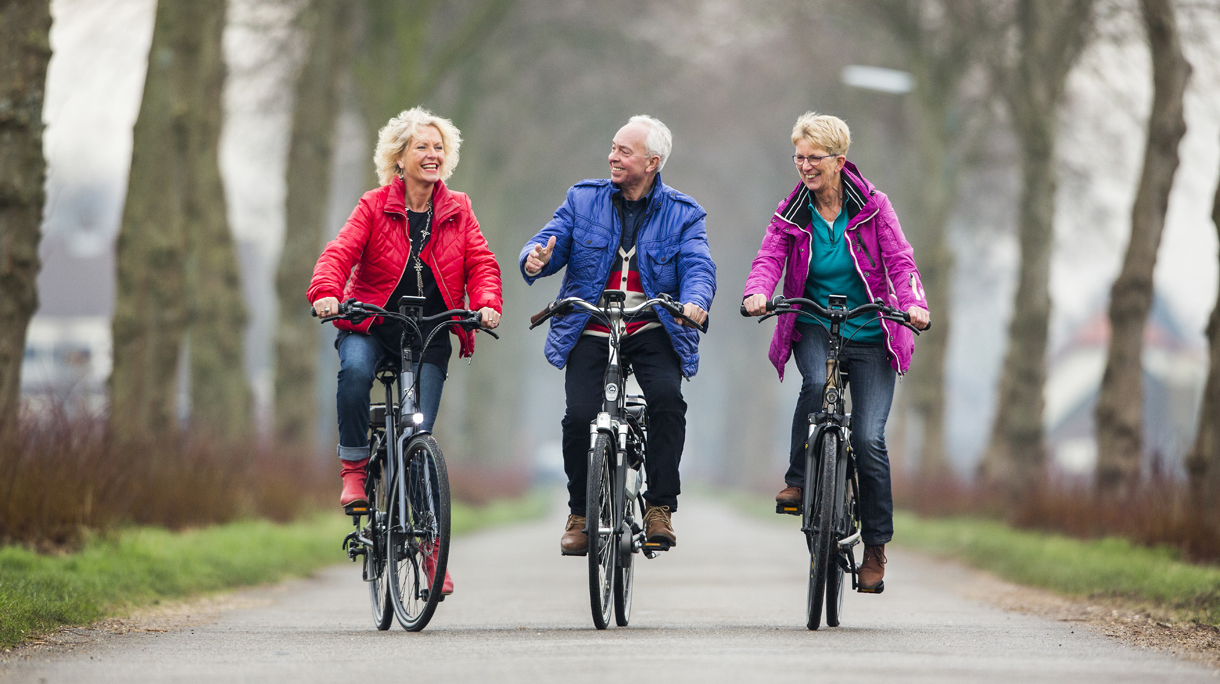 PlusEbike03.jpg