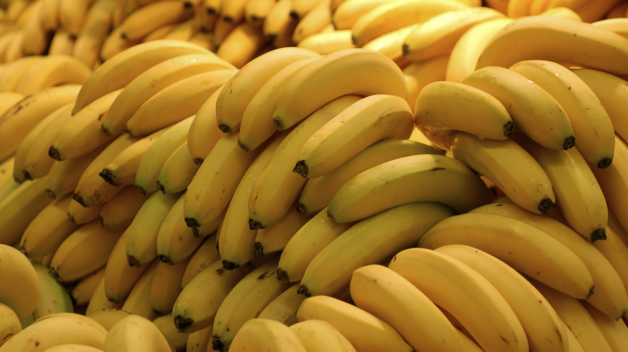 istock_000003064334_large