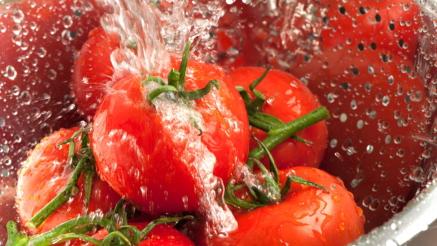 istock_000018174516_large