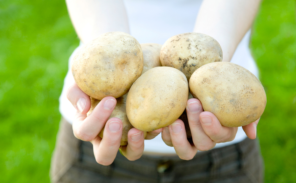 istock_000007165171_large