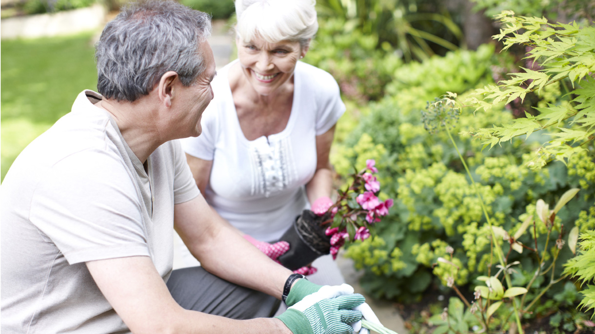 istock_000019076421_medium