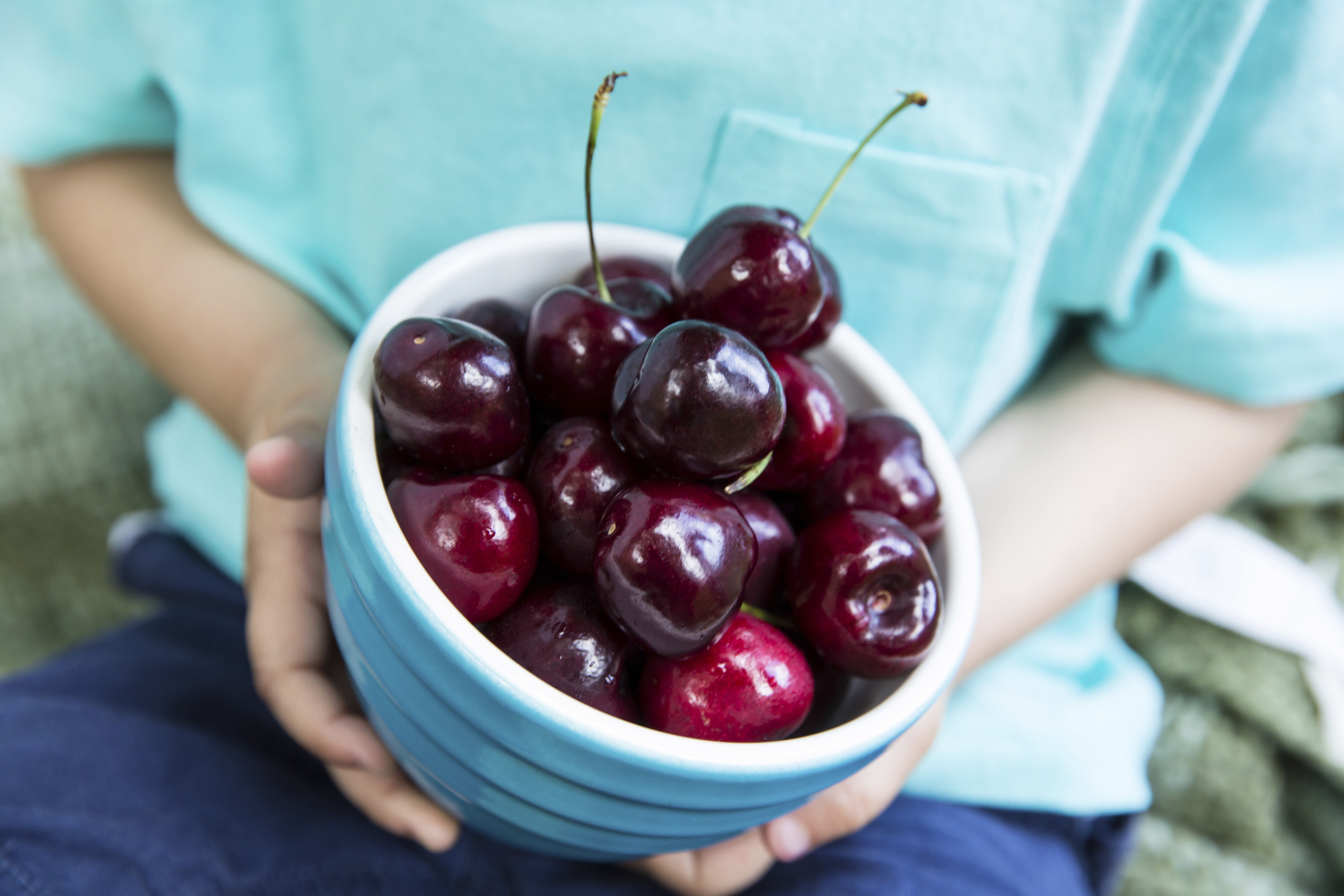 Bowl of Cherries