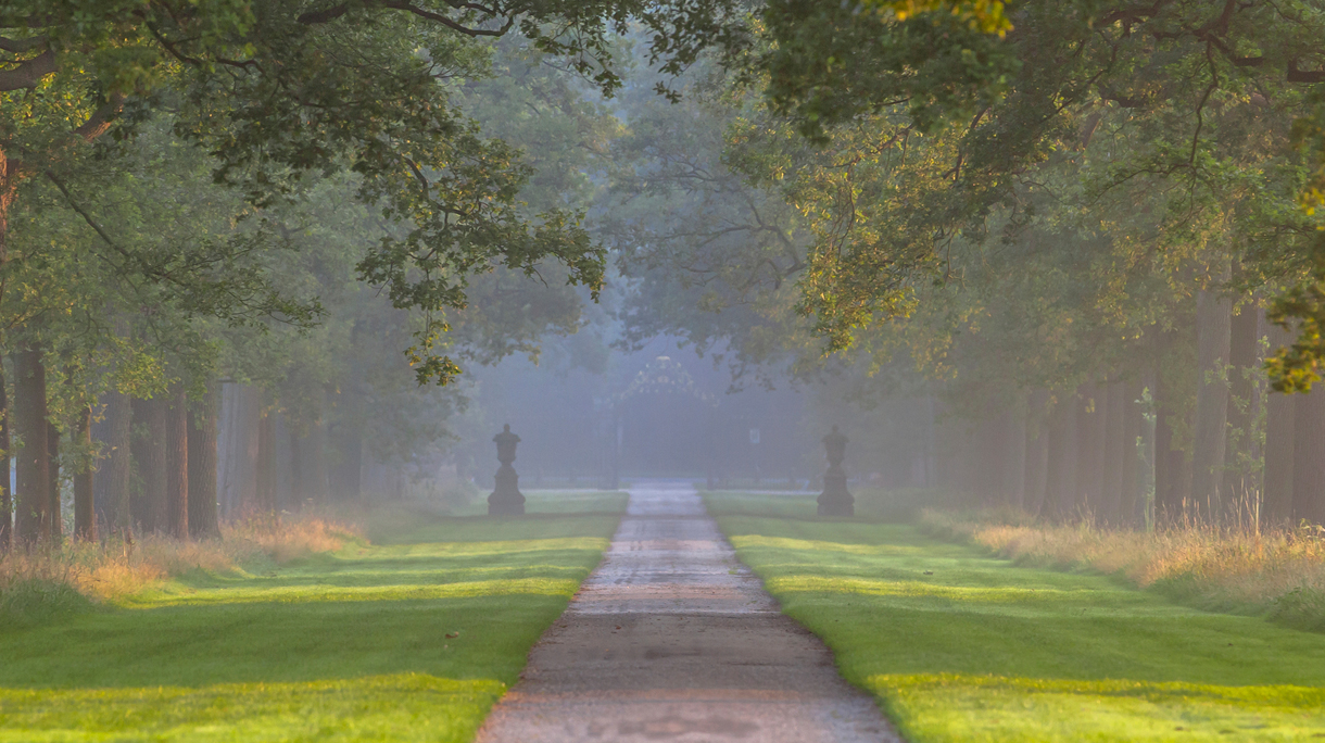 istock_89528203_medium-twente-1220