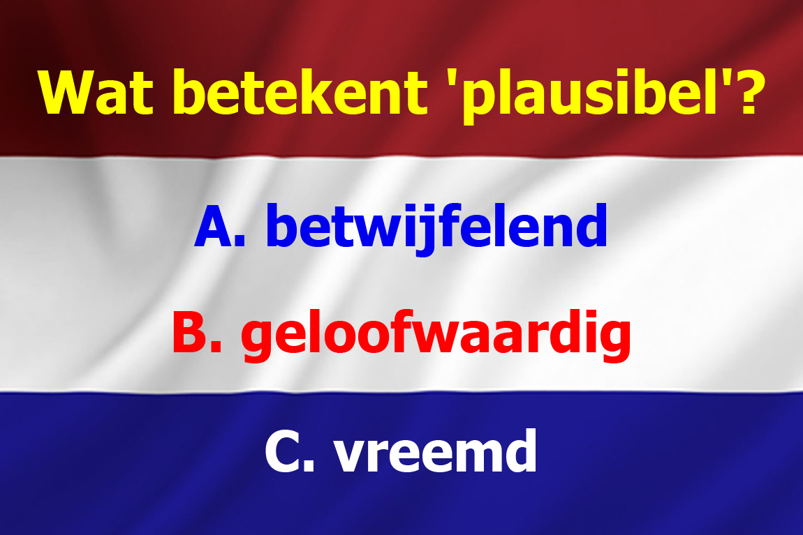 taalvraag_plausibel_artikelgrootte