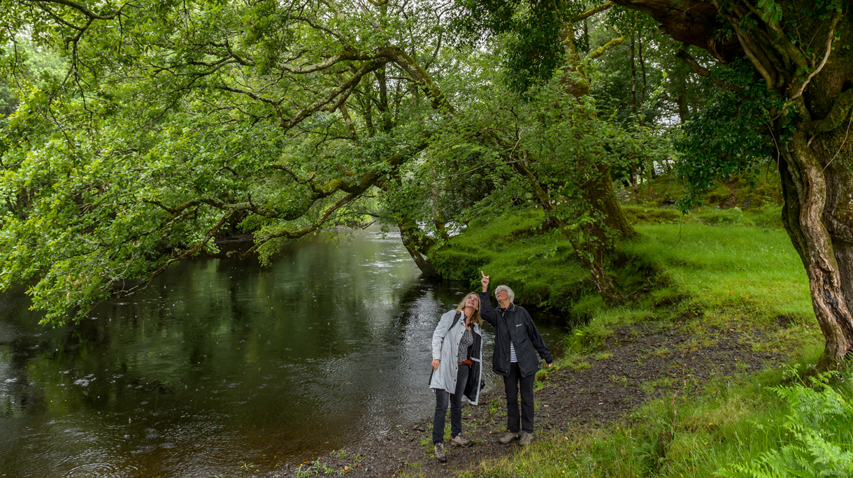 Gap of Dunloe Killarney-257.jpg