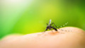 istock_000049201884_full