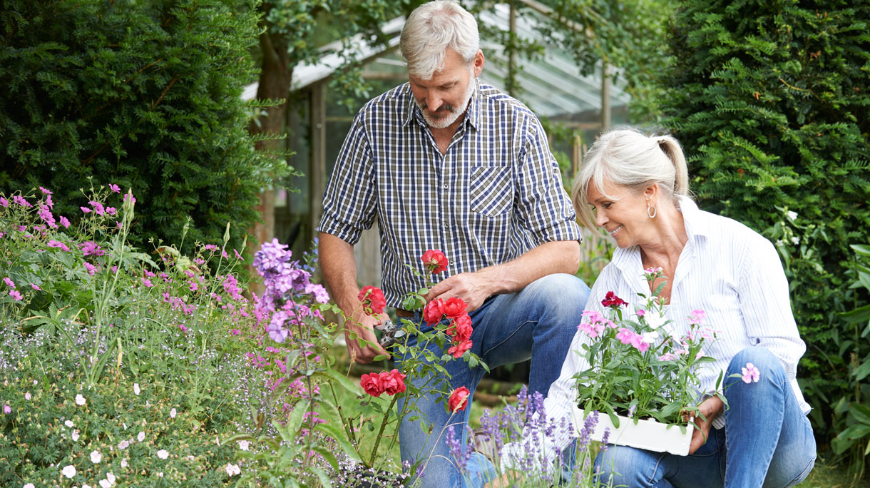tuinieren_3