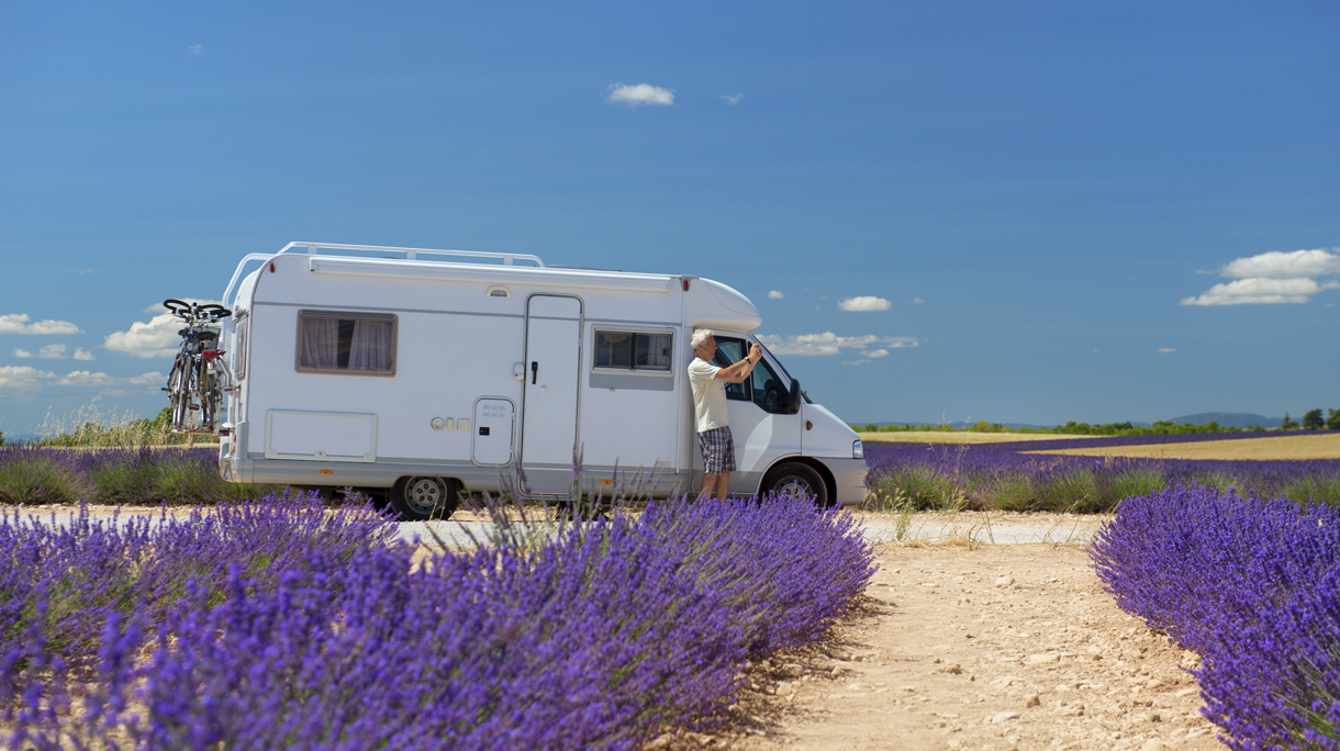 Traveler with mobile home at lavender fields in France