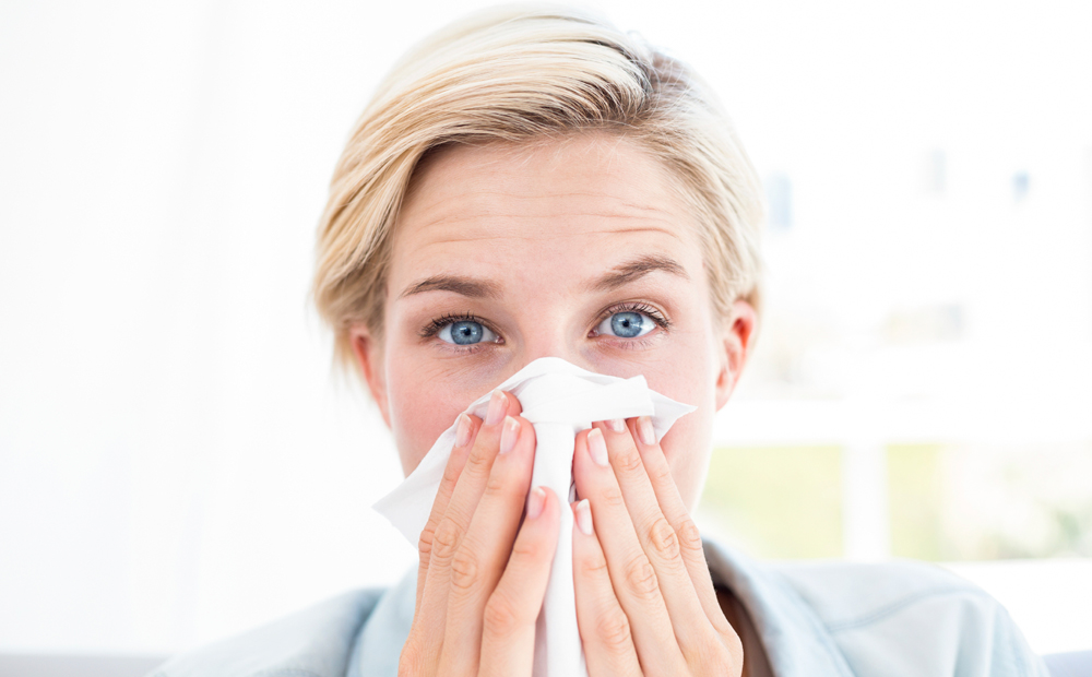 istock_000071669111_medium