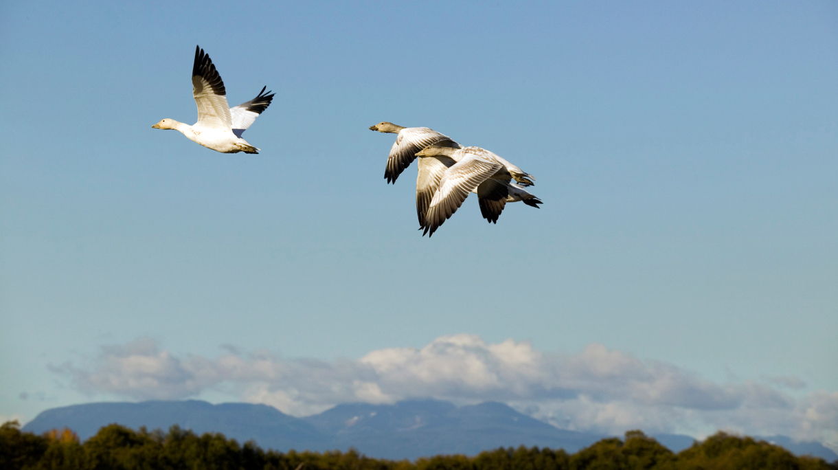 istock_7240072_medium