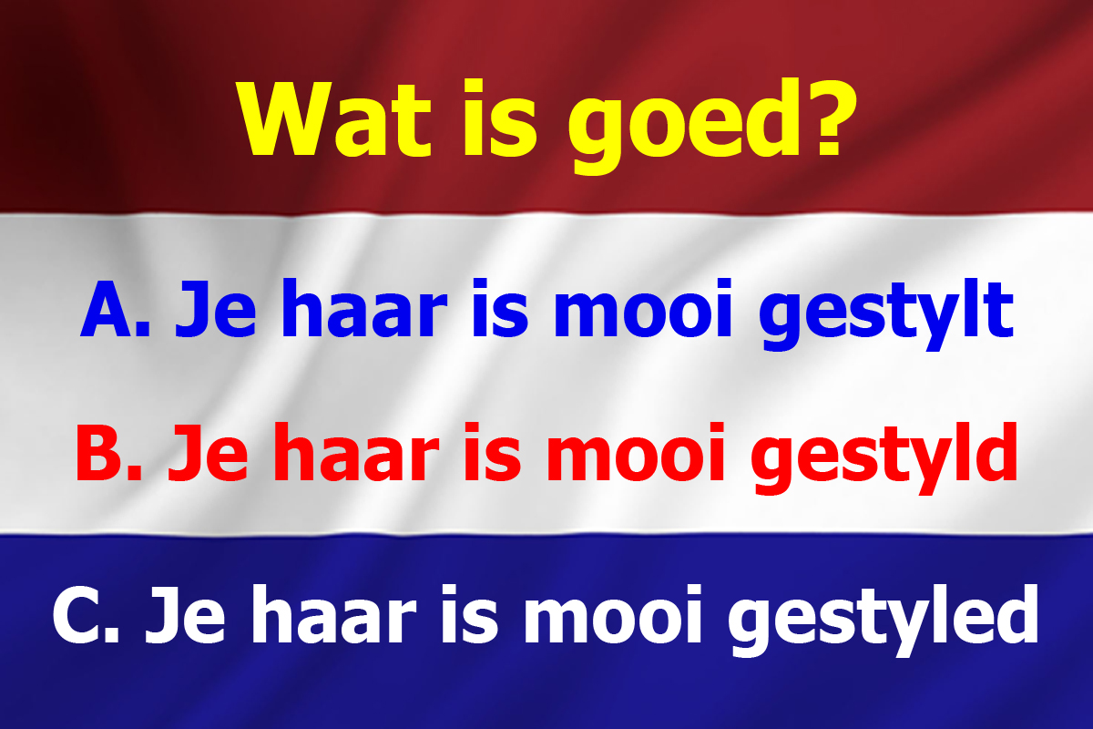 taalvraag_gestyled_-_groter