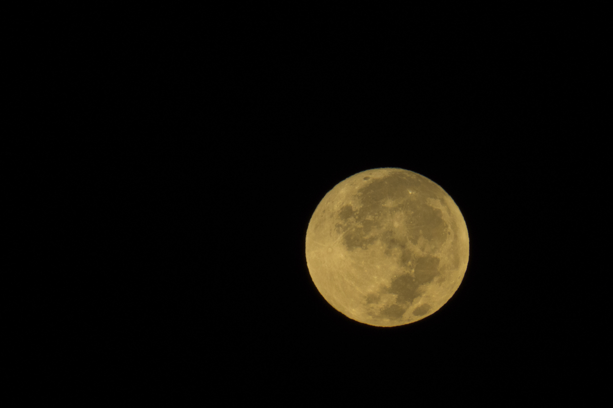 Harvest Moon