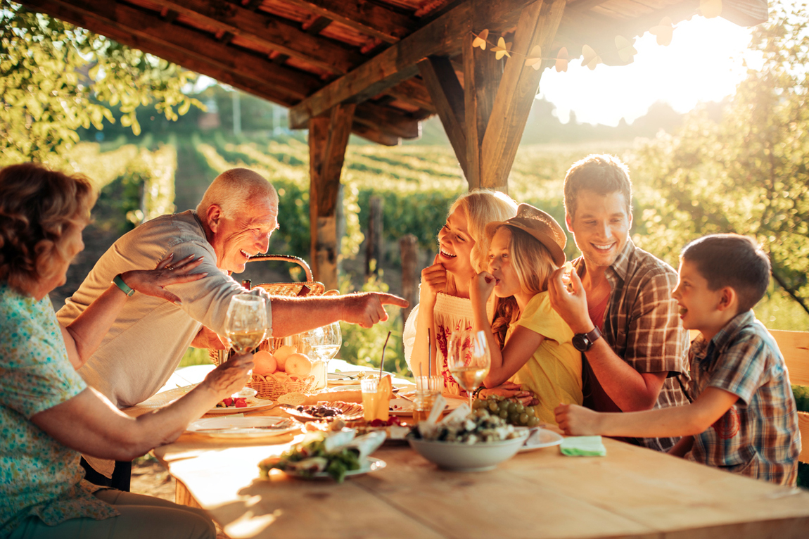 Family having a picnic