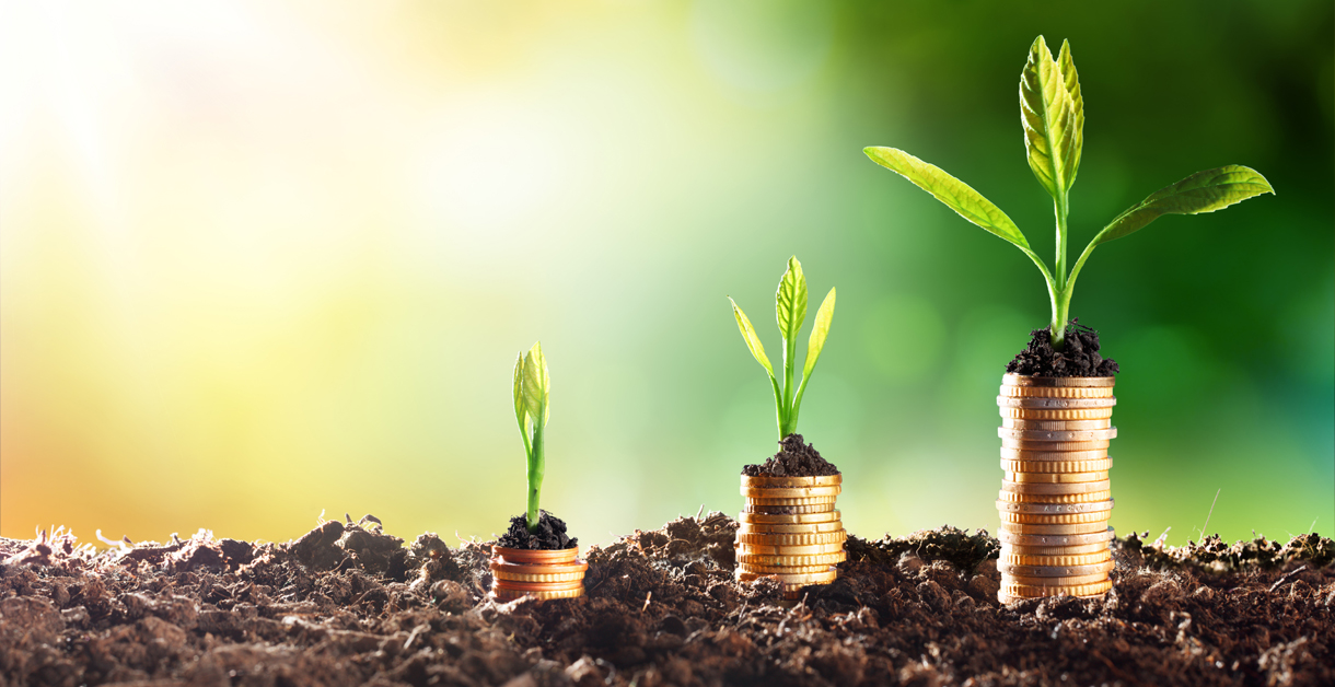 Growing Money – Chart In Rise