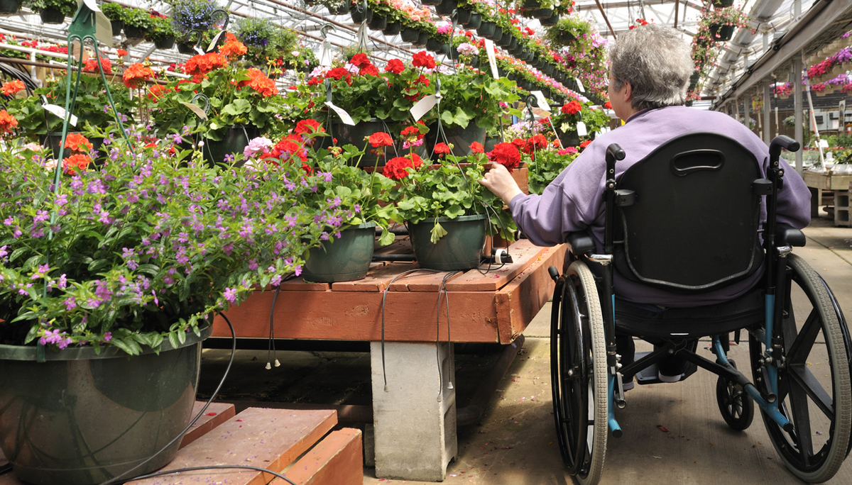 In the Greenhouse, wide view