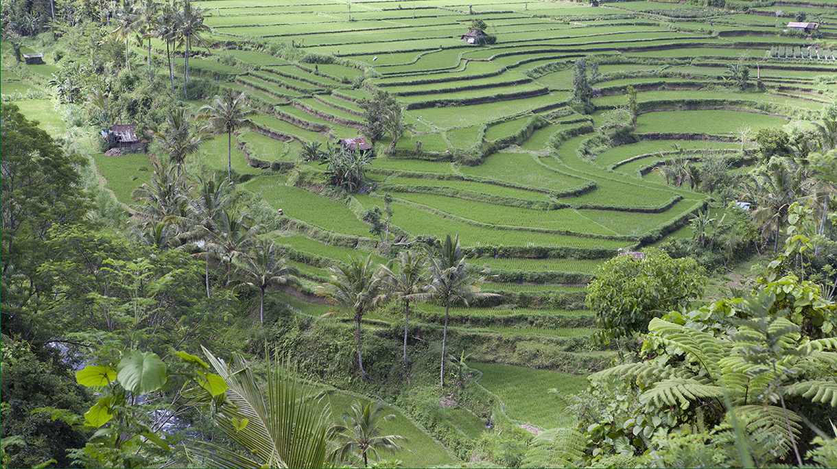 128_Mahagiri.jpg
