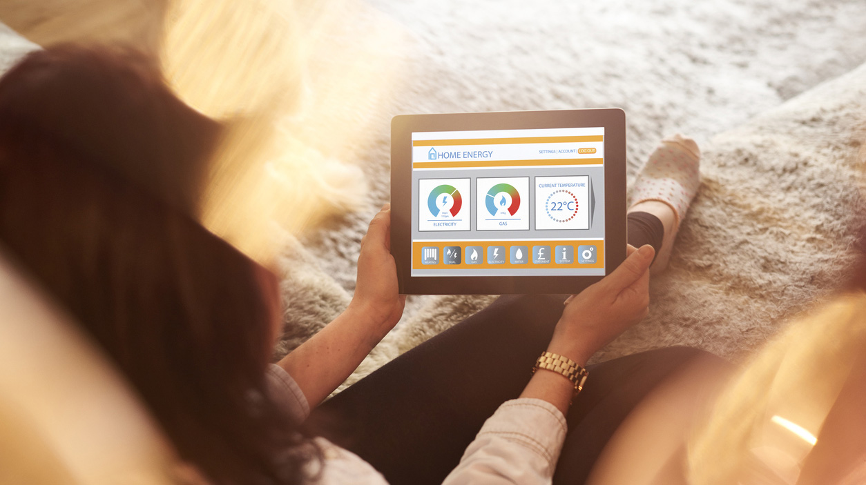 Female home owner checking energy consumption