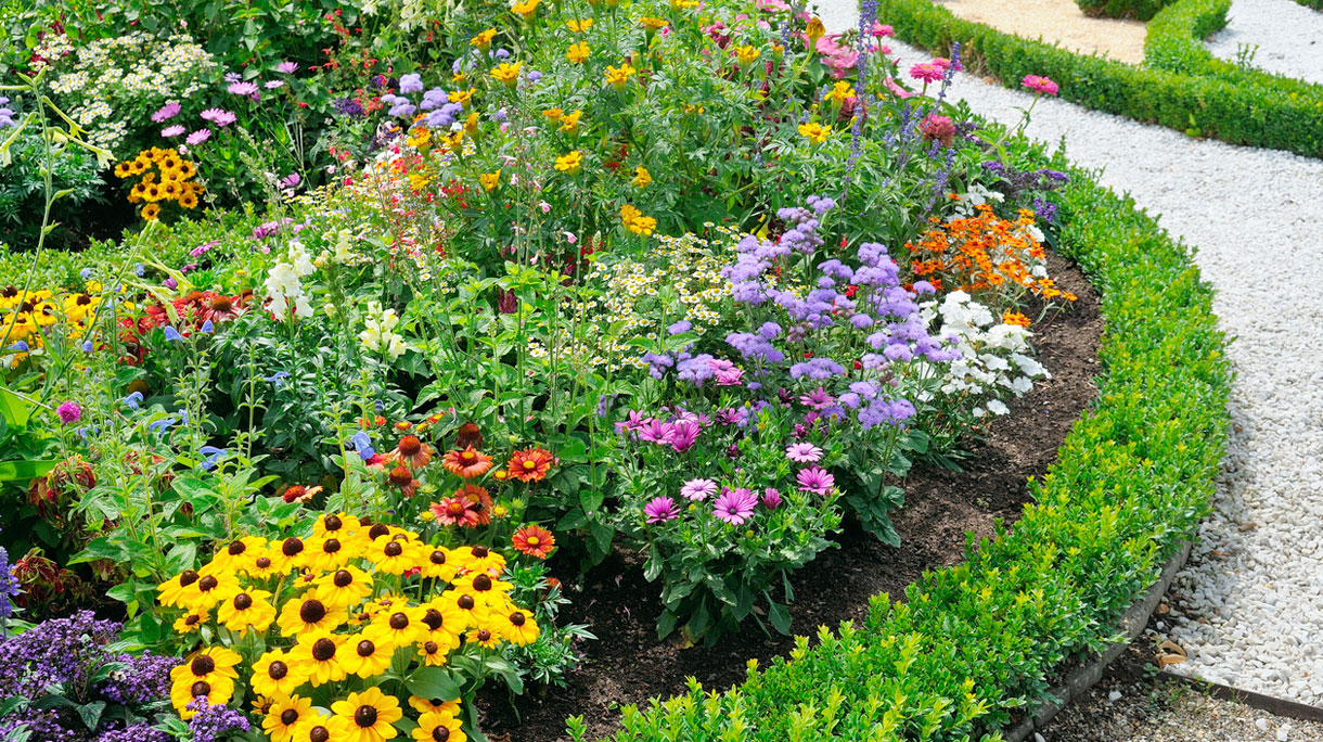 tuin_7
