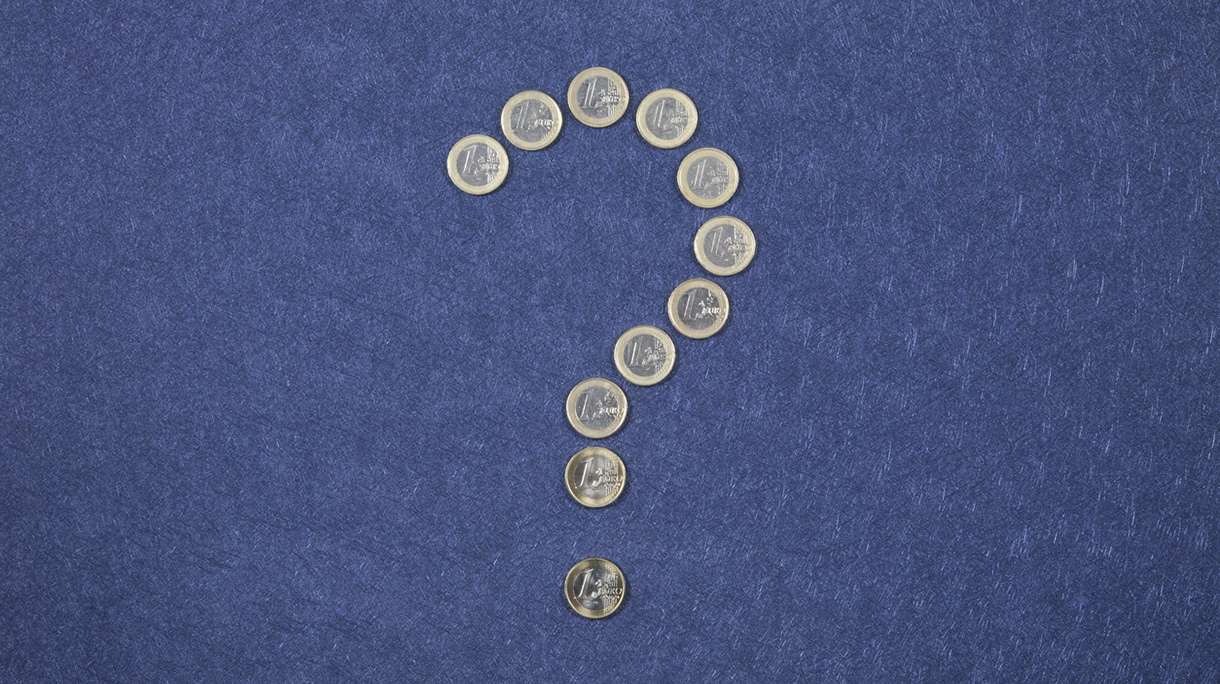 questioning the euro