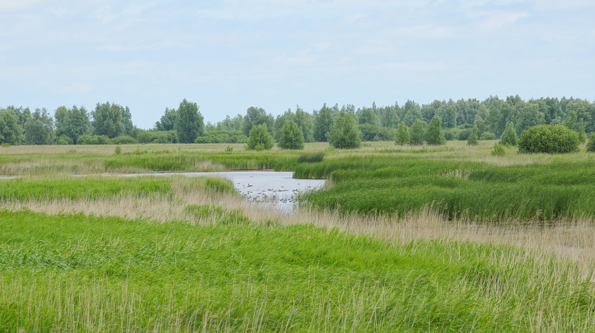 lauwersmeer